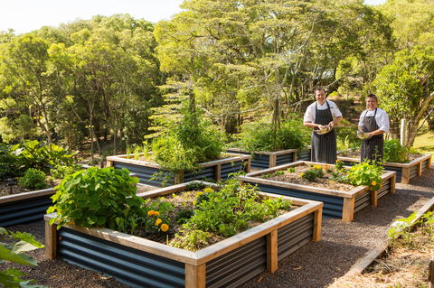 Spicers Tamarind  Retreat - Whitsundays Accommodation 1