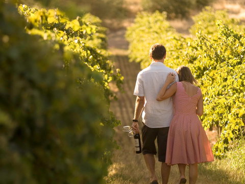 Novotel Barossa Valley Resort - Whitsundays Accommodation 1