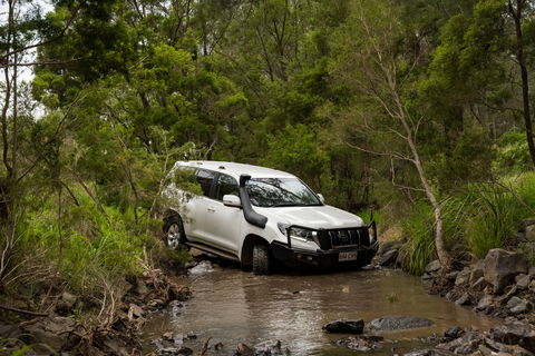 Spicers Hidden Vale - Whitsundays Accommodation 14