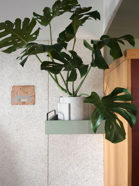 ACE Hotel Sydney - Whitsundays Accommodation 0