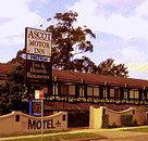 Golden Chain Ascot Motor Inn - Whitsundays Accommodation