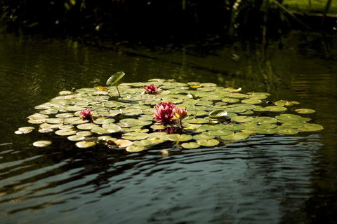 University House - ANU - Whitsundays Accommodation 17