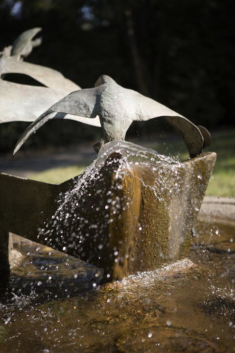 University House - ANU - Whitsundays Accommodation 30