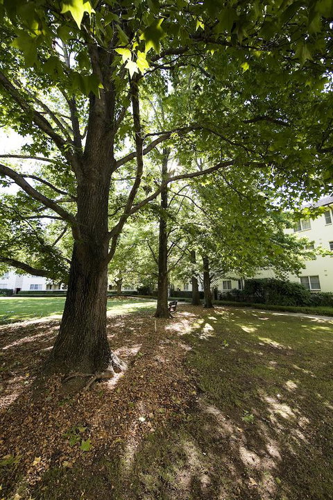 University House - ANU - Whitsundays Accommodation 28