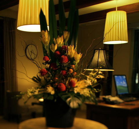 De Russie Boutique Hotel - Whitsundays Accommodation 26