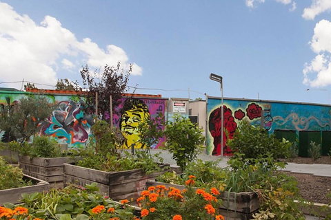 Canberra Luxury Apartment 3 - Whitsundays Accommodation 13