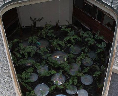 Canberra Luxury Apartment 3 - Whitsundays Accommodation 32