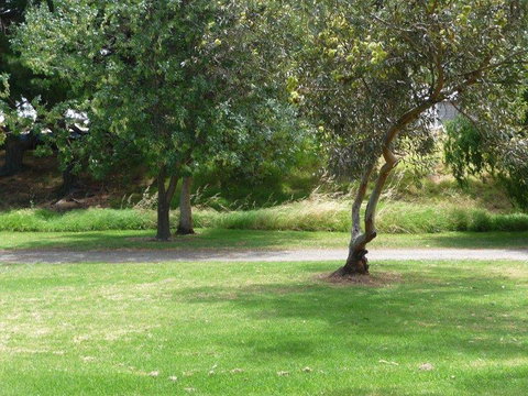 Victor Harbor Holiday Park - Whitsundays Accommodation 24