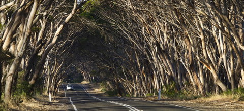 Mercure Kangaroo Island Lodge - Whitsundays Accommodation 40