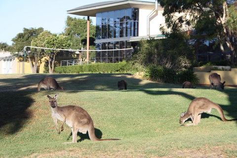 BreakFree Wirrina Cove - Whitsundays Accommodation 28