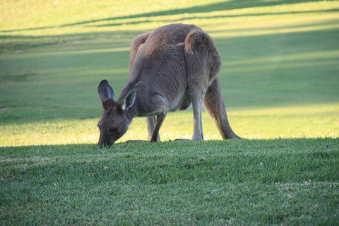 BreakFree Wirrina Cove - Whitsundays Accommodation 24