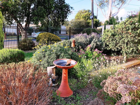Beautiful Garden House - Whitsundays Accommodation 21
