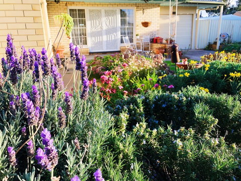 Beautiful Garden House - Whitsundays Accommodation 9
