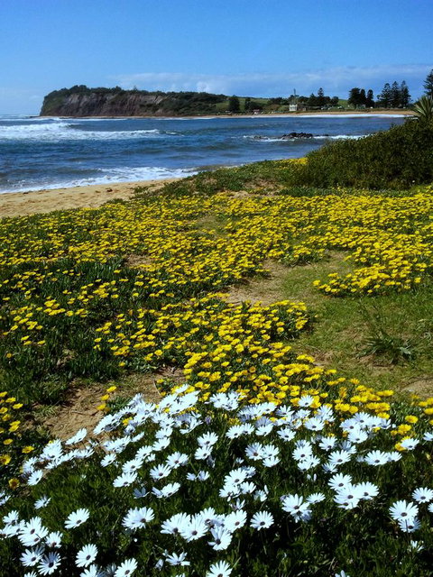 Serenity On Narrabeen Beach - 1Bdr Beachside Retreat - Whitsundays Accommodation 10