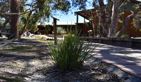 Kangaroo Island Wilderness Retreat - Whitsundays Accommodation 21