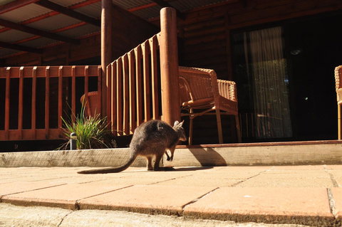 Kangaroo Island Wilderness Retreat - Whitsundays Accommodation 9