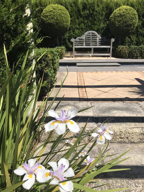 S T U D I O 22 Peaceful Retreat With Garden Views - Whitsundays Accommodation 13