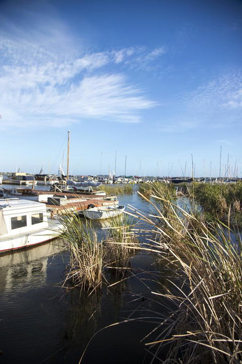 Wayfarers Cottage - Whitsundays Accommodation 15