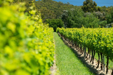 The Other House - Whitsundays Accommodation 2