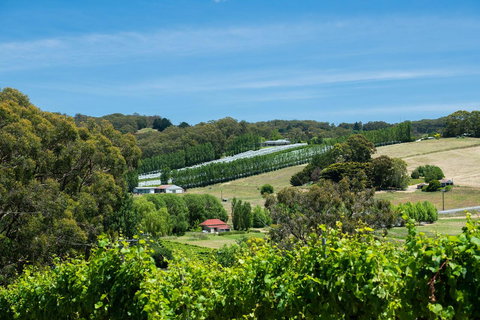 The Other House - Whitsundays Accommodation 3