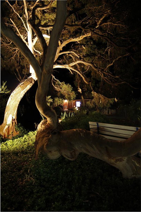 Cape Jervis Holiday Units - Whitsundays Accommodation 14