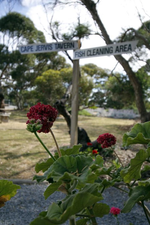 Cape Jervis Holiday Units - Whitsundays Accommodation 13