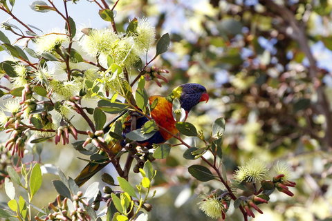 Cape Jervis Holiday Units - Whitsundays Accommodation 11