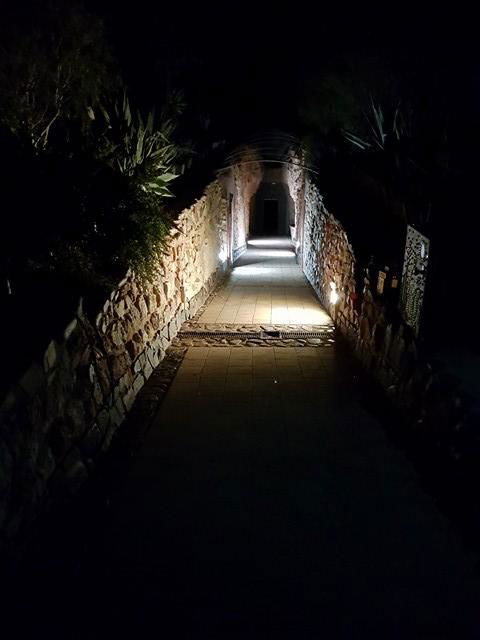 Zen Underground B&B - Whitsundays Accommodation 13