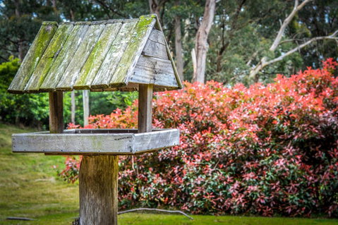 Ghost Hill Road Retreat - Whitsundays Accommodation 17