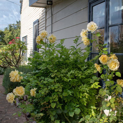 Haven Cottage Kangaroo Island - Whitsundays Accommodation 1
