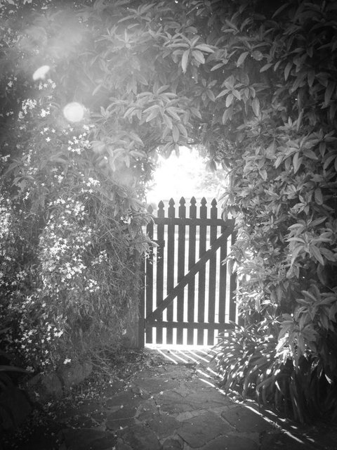 Haven Cottage Kangaroo Island - Whitsundays Accommodation 33