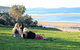Boatsheds - thumb 10
