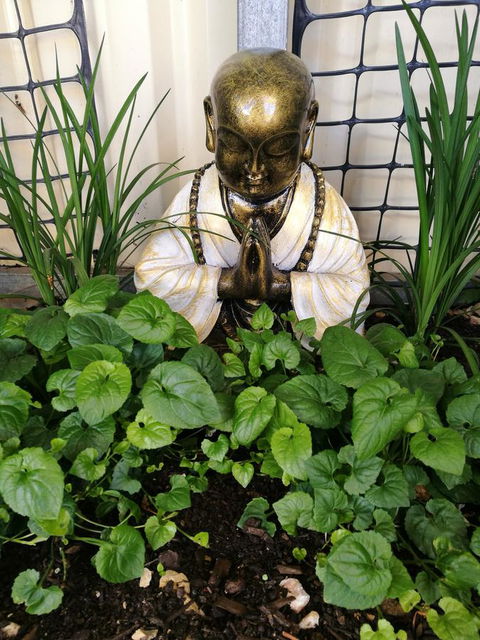 Hilda Anna's - Whitsundays Accommodation 44