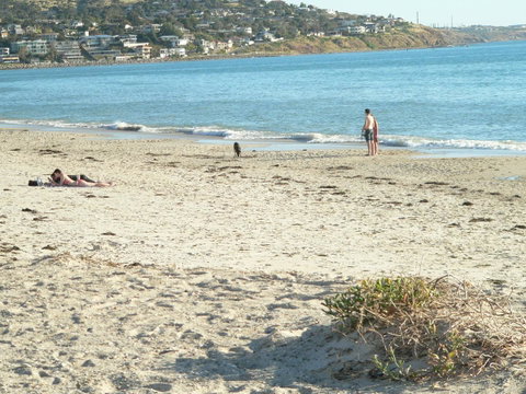 Brighton Beach House - Whitsundays Accommodation 12