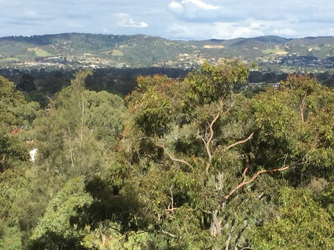 Tasha\'s Apartments On Warwick - Whitsundays Accommodation 35