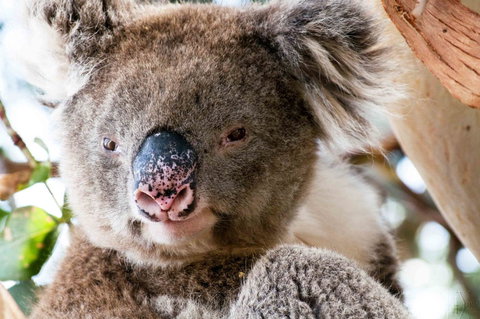 Admirals Inn - Whitsundays Accommodation 31