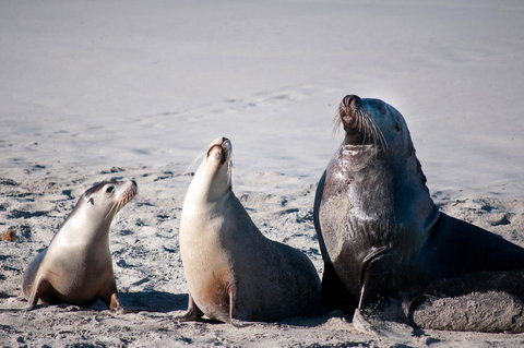 Admirals Inn - Whitsundays Accommodation 39