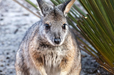 Admirals Inn - Whitsundays Accommodation 32