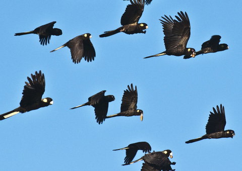 Admirals Inn - Whitsundays Accommodation 42