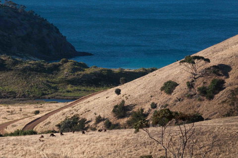 Admirals Inn - Whitsundays Accommodation 44