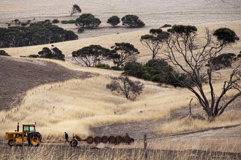Admirals Inn - Whitsundays Accommodation 43