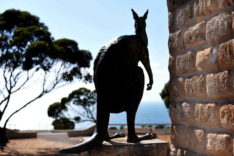 Admirals Inn - Whitsundays Accommodation 12