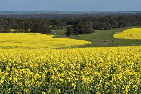 Admirals Inn - Whitsundays Accommodation 41
