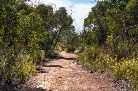 Admirals Inn - Whitsundays Accommodation 35
