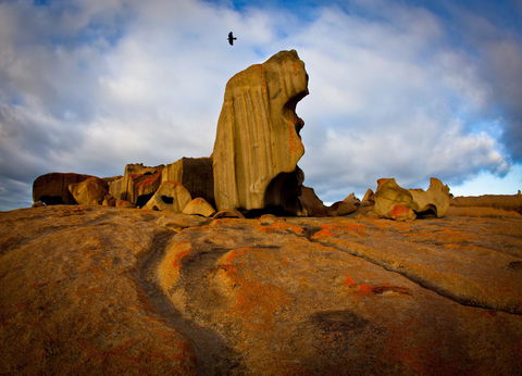 Penneshaw Oceanview Apartments - Whitsundays Accommodation 23