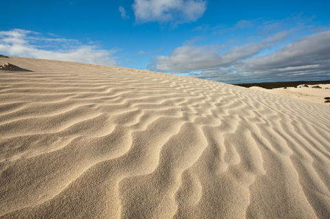 Penneshaw Oceanview Apartments - Whitsundays Accommodation 24