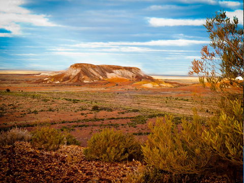 Ali\'s Underground Studio - Whitsundays Accommodation 17