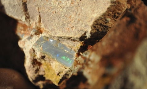 Ali\'s Underground Studio - Whitsundays Accommodation 21