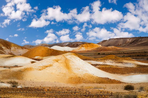 Ali\'s Underground Studio - Whitsundays Accommodation 18