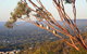 Kingsview Belair, Apartment Grand Views Of Adelaide - thumb 1